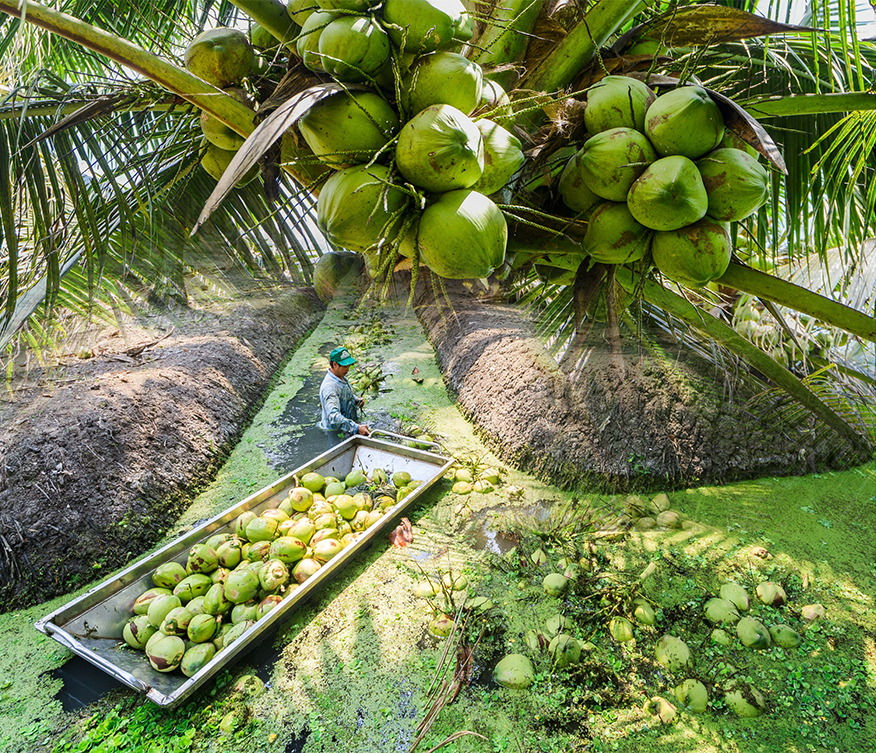 TIANA® FAIRTRADE PROJECT